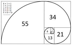 Fibonacci Spiral